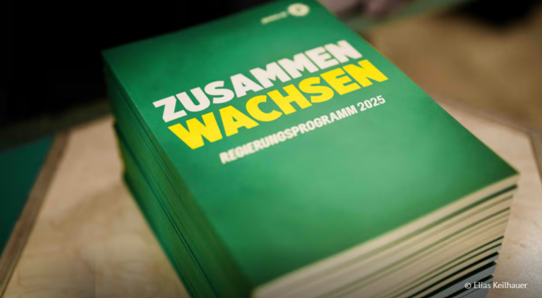 Zusammen wachsen: Unser Regierungsprogramm für die Bundestagswahl 2025